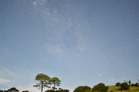 Coromandel night sky with southern cross : newzealand