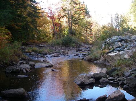 Headwaters stream | Riversmart Photo Galleries and Virtual Tours