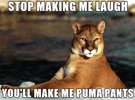 You Mean Like A Puma Yeah Yeah A Puma Red Vs Blue Funny Puns
