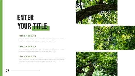 Mountain And Forest Powerpoint Templates For Presentation