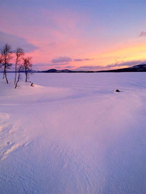 By Lake Hornavan In Arjeplog Swedish Lapland Beautiful