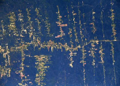 Deforestation In The Amazon As Seen From Orbit Spaceref