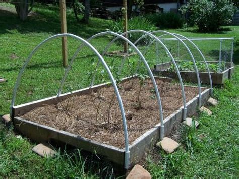 How to install bird netting over garden. Grit Reader Contributions | Garden fencing, Garden fence ...
