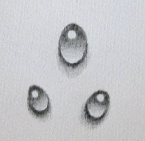 720x597 realism challenge water drop roosevelt drawing 1. A Wee Tutorial: How to draw a water droplet. | Water drop ...