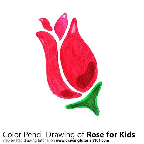 Rose for Kids Colored Pencils - Drawing Rose for Kids with ... Use three overlapping arcs to form the first petals.