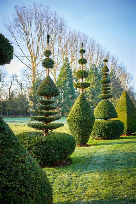 The Cressy Hall Topiary A Miraculously Well Kept Secret Country