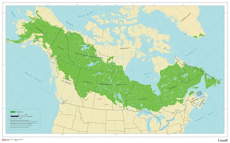 Boreal Forest Natural Resources Canada