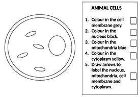 Maybe you would like to learn more about one of these? Year 7 KS3 Plant and Animal Cells including SEN | Teaching ...