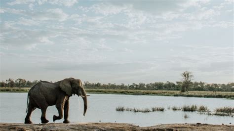 Why The Rainy Season Is Still Perfect To Visit Botswana