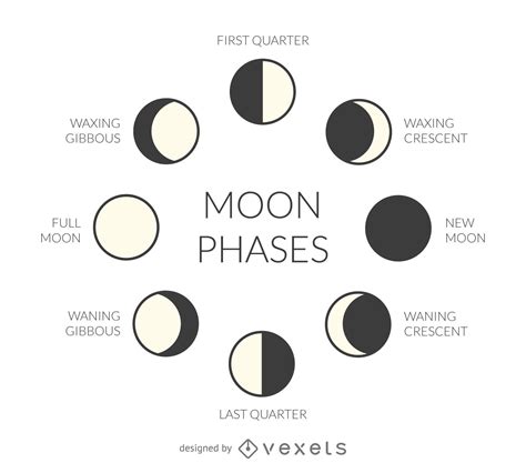 Illustrated Moon Phases Vector Download Moon Phases Names Moon