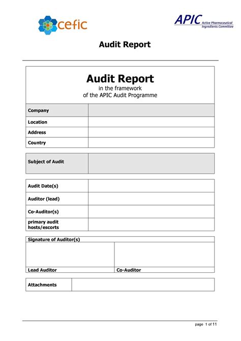 Ideal Reissue Audit Report Example Idbi Bank Financial Statements