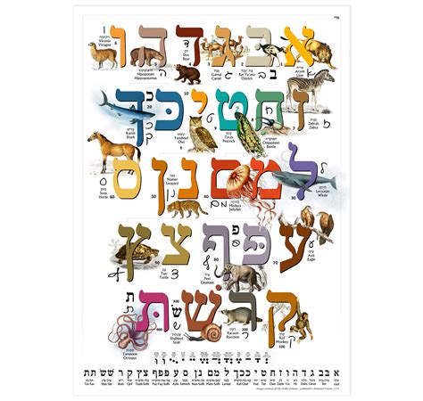 Buy Hebrew Aleph Bet Alef Bet Animal Chart For Children With Print