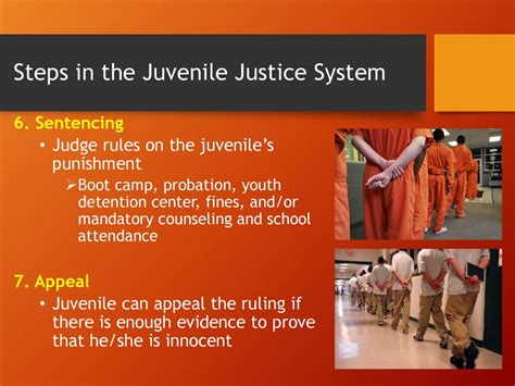 the juvenile justice system in georgia ppt download