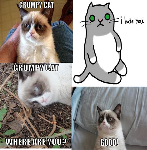 Grumpy Cat Know Your Meme Image 448222 Grumpy Cat Know Your Meme