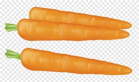 Three Carrots Illustration Carrot Vegetable Carrots Soup Leaf