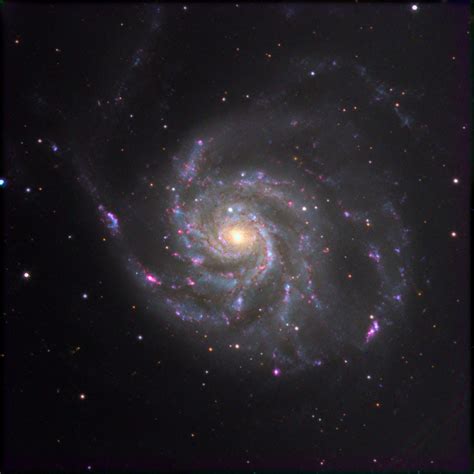 M101 The Pinwheel Galaxy Telescope Live