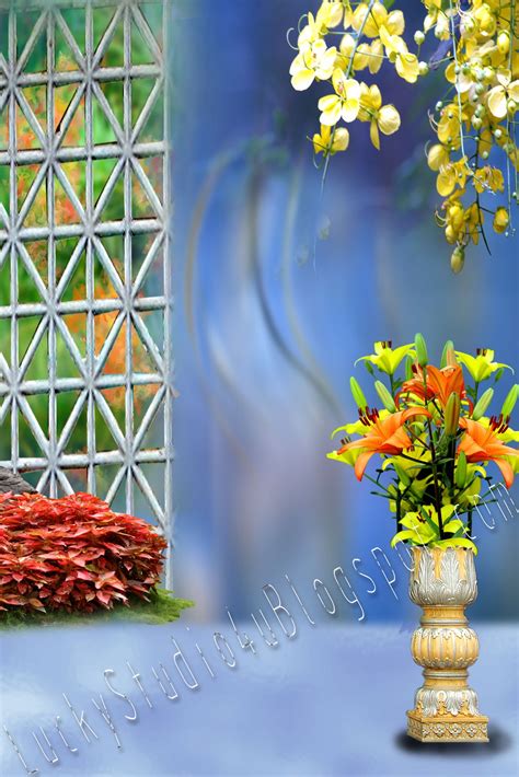 Semua foto pada background hitam polos hd portrait dan website ini 100% gratis, sebagai gantinya, imbalannya biasanya kami dapat dari andaadalah ucapan terimakasih dengan cara share halaman ini ke media socialnya. New Studio Backgrounds Photo Editing Free Download - Luckystudio4u