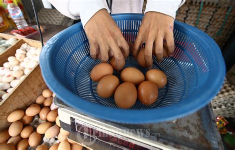 Harga Telur Ayam Tembus Rp 29500 Di Jakarta Foto 3 1935428