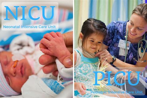 What Is A Nicu What Is A Picu