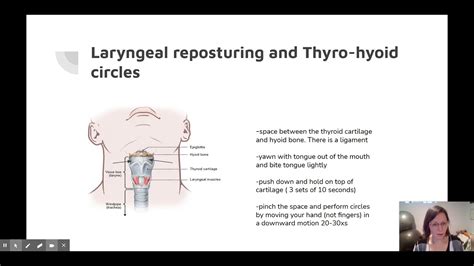 manual therapy massage for voice therapy laryngeal reposturing thyro hyoid youtube