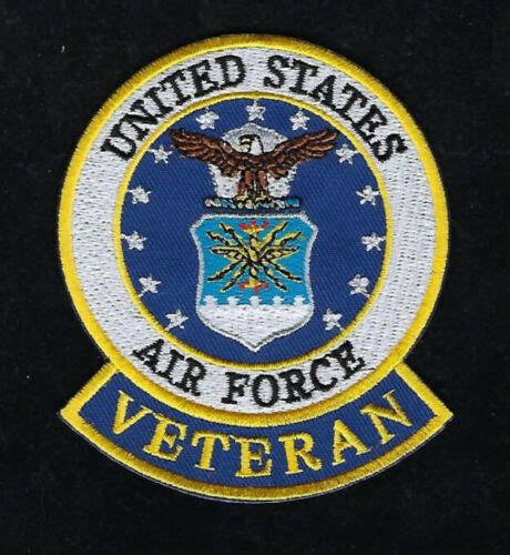 Us Air Force Veteran Hat Patch Vet Pin Up Flightsuit Eagle Usaf Pilot