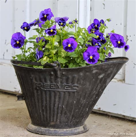 Every garden is better with unique touches. The Old Blue Bucket: Thinking Outside The Pot ~ Unique ...