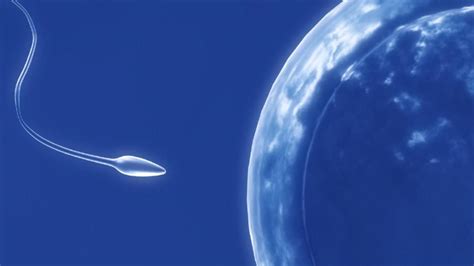Mens Health Week Why Plummeting Sperm Counts Mean More Than Fertility