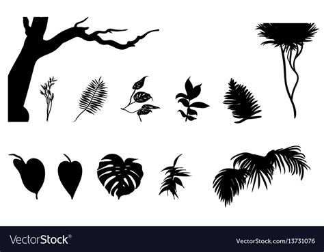 Black Jungle Plants Silhouettes Set Royalty Free Vector
