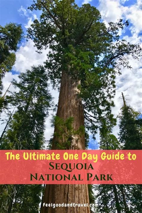 Sequoia National Park A Day In The Land Of Giants California National