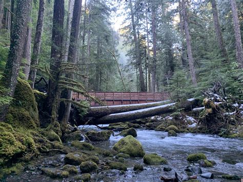 Lower Big Quilcene River — Washington Trails Association