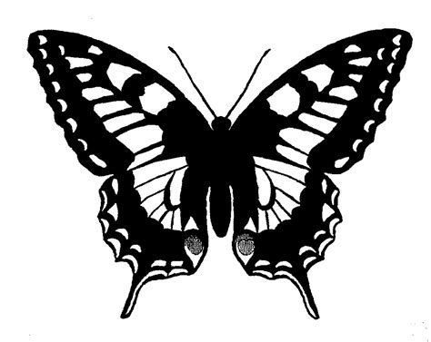 The Graphics Monarch: Free Butterfly Silhouette Image Grayscale Digital