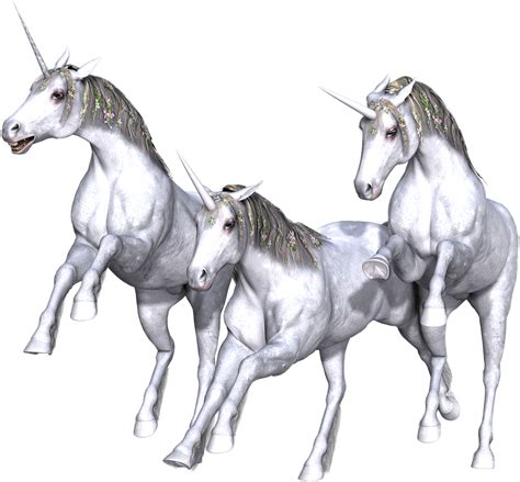 Unicorn Trio Full White Transparent Mythology Clipart Large Size