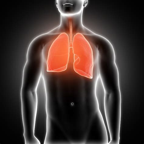 Lung Pain Symptoms Causes And Treatment Health Healer