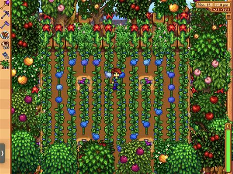 Greenhouse Sprinkler Layout With Kegs Rstardewvalley - vrogue.co