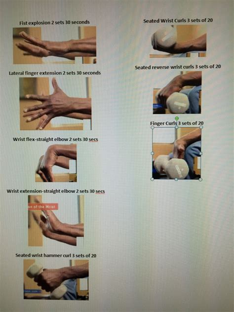 8 Hand Wrist Forearm Exercises To Maximize Strength Forearm Workout