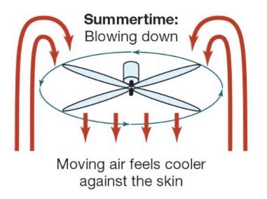 Verify the ceiling fan blades are moving in the right direction. Ceiling Fan Direction Summer vs Winter - Magic Touch ...