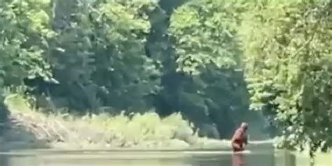 Kayakers Video Allegedly Shows Bigfoot Carrying A Baby Sasquatch