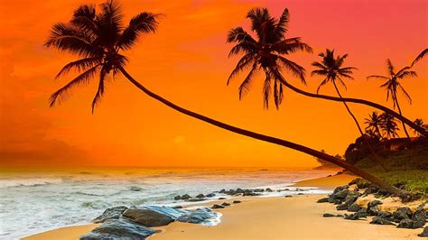 Caribbean Beaches Wallpaper Desktop