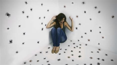 Why Humans Fear Bugs Mental Floss