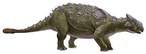Improve your knowledge on the ankylosaurus with fun facts for kids. Smite Datamining; Kuzenbo - King of the Kappas; New ...