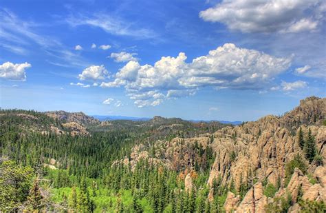 Guide To Photographing Custer State Park South Dakota