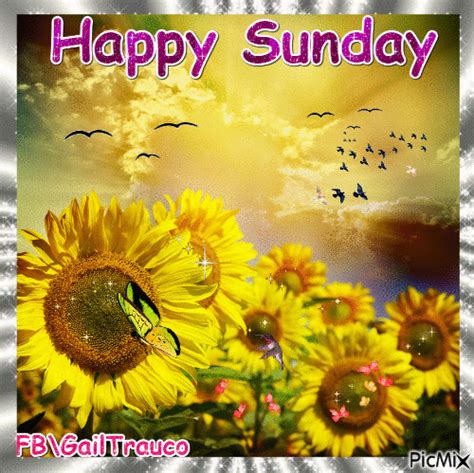 Happy Sunday Sunday  Sunday Greetings Happy Sunday