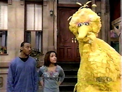 Episode 4053 Big Bird Sesame Street Muppets