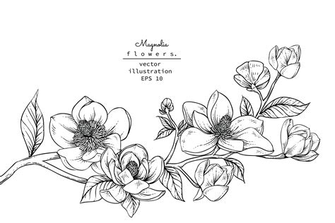 18 Vector Line Drawing Of Flower Background