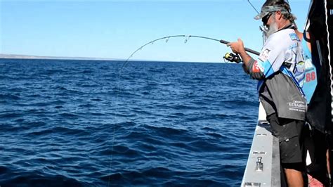Kalbarri Exclusive Fishing Charter Youtube