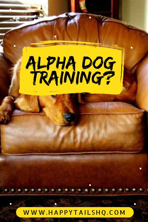 Tips And Techniques For Dog Training Tips Dogtrainingtips Dog