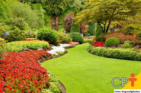 Jardinagem e paisagismo: manutenção de gramados | Dicas ...