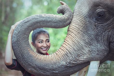 Beautiful Woman With Elephant Photograph By Sasin Tipchai