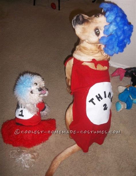 Womans Cat In The Hat Costume With Pet Dogs Thing 1 Thing