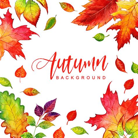 Autumn Leaves Watercolor Vector Art Png Beautiful Watercolor Autumn